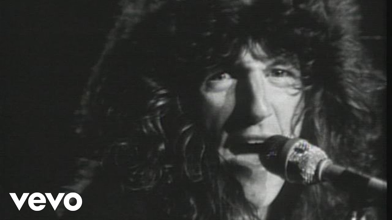 REO Speedwagon – Roll With The Changes