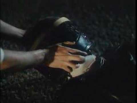 Mecano – Hawaii-Bombay