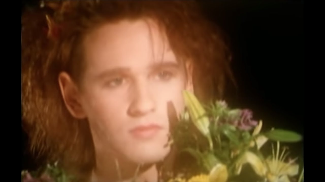 This Mortal Coil – Kangaroo