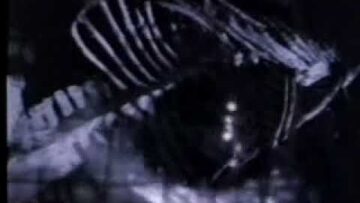 Pulp – They Suffocate at Night