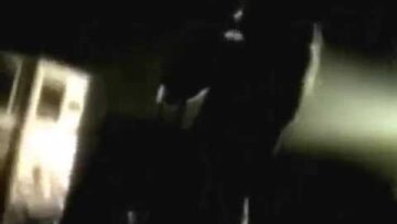 Soundgarden – Flower