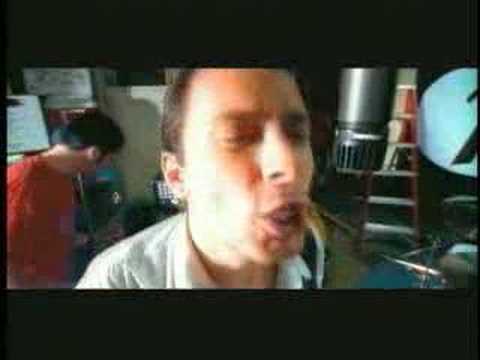 Millencolin – Fox