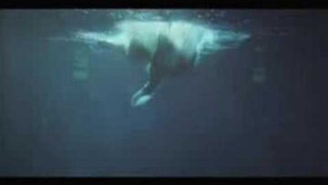 Jamiroquai – Love Foolosophy