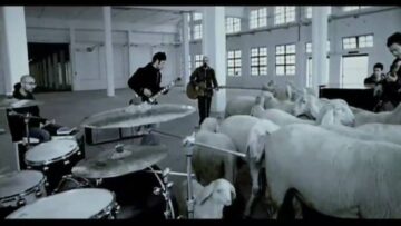 Negramaro – Come sempre