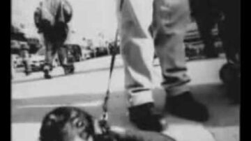 The Willowz – I Wonder