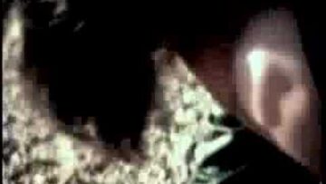 Paola Turci – Il gigante