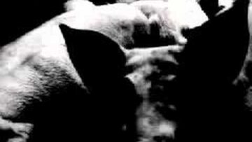 Ghostigital – Monday