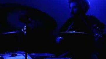 Fever – Ladyfingers