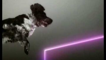 Vitalic – Poney Part 1