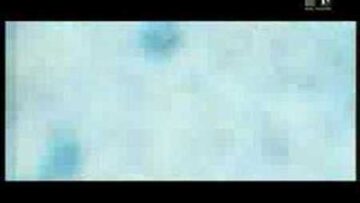 Super Elastic Bubble Plastic – My Emotional Friend