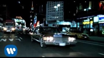 Teddybears – Punkrocker