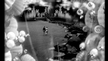 Sue Scrofa – 5 Seashells