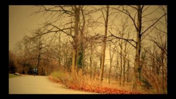 No and The Maybes – Monday