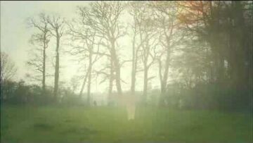 Graham Coxon – In the Morning