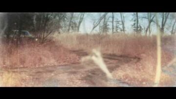 Tupelo Honey – Not Alone