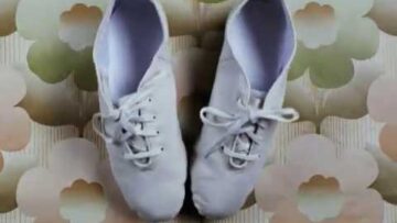 Animal Collective – In The Flowers