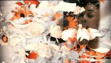 CocknBullKid – I’m Not Sorry