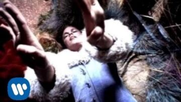 Seven Day Diary – Starfish