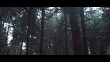 Worship – Collateral