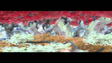 Tali Febland – Tree Tops