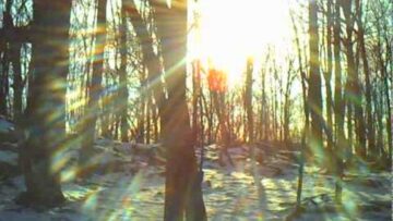 Savoir Adore – Bodies