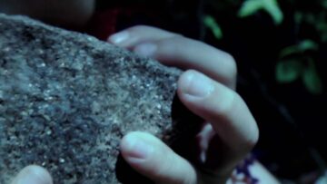 Woods – Death Rattles