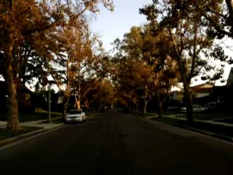 Stephen Malkmus – Baby C’Mon