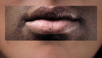 The Penelopes – Now Now Now