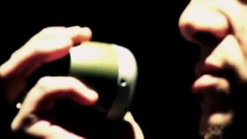 8STOPS7 – The Sting