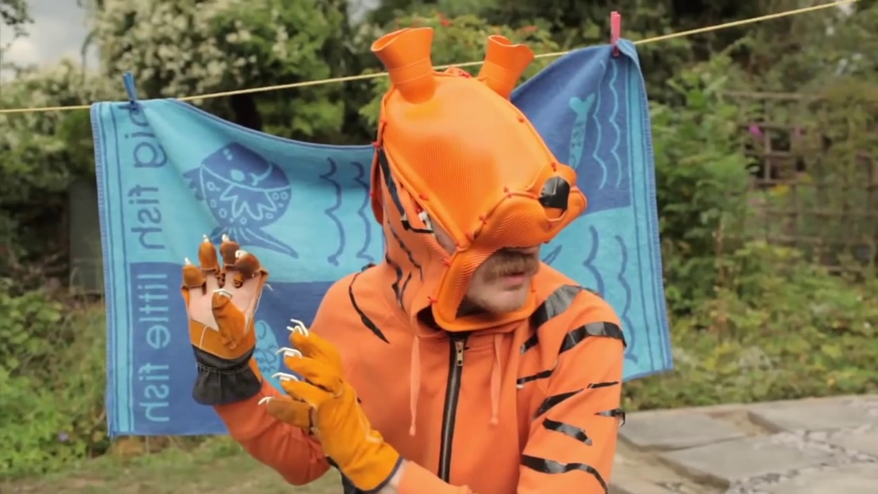 Stephen Malkmus & The Jicks – Tigers
