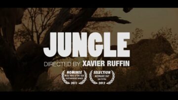 Prophetic – Jungle
