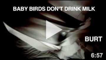 Baby Birds Don’t Drink Milk – Burt