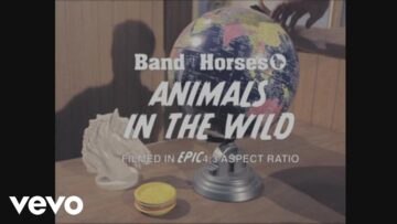 Band Of Horses – Knock Knock