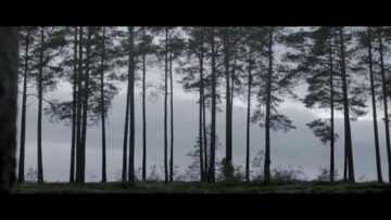 iamamiwhoami – good worker