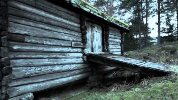 BORKNAGAR – The Earthling