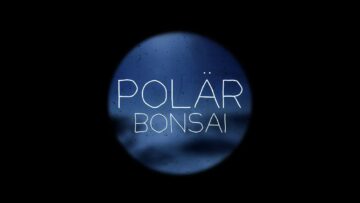 Polär – Bonsai
