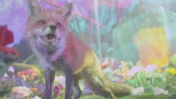 Lucy Schwartz – Ghost In My House