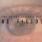 The Future’s Dust – The Fields