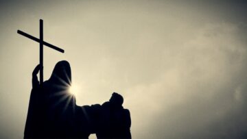 Linea 77 – L’involuzione della specie