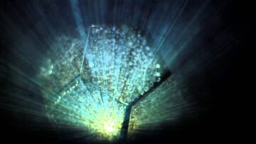 On An On – Every Song