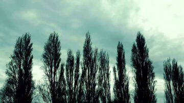 Coliseum – Love Under Will