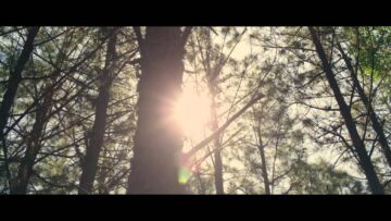 Elizabeth Rose – The Good Life