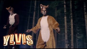 Ylvis – The Fox