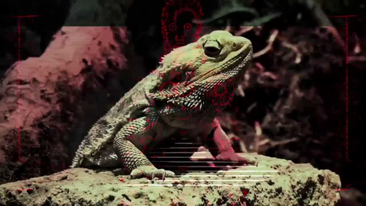 Teengirl Fantasy – Nun