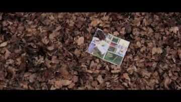 Neil Zaza – Wild Horses