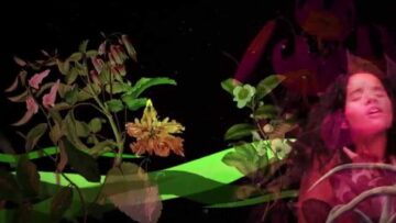 Chancha Vía Circuito – Jardines