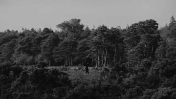 Adult Jazz – Am Gone