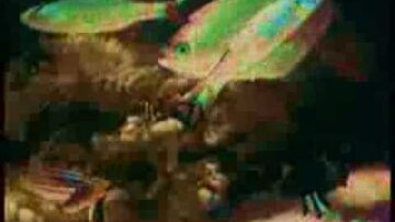 Mega Emotion – City In Shapes