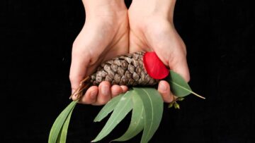 Efrat Benzur – Robin