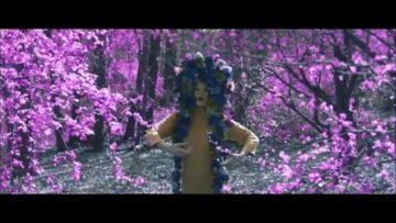 Sandra Kolstad – Rooms